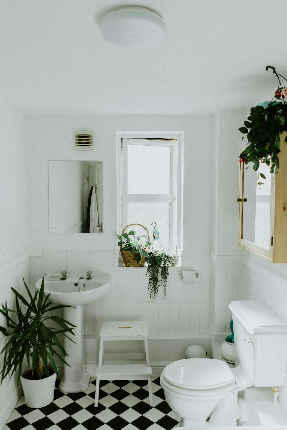 Bathroom Sanitising
